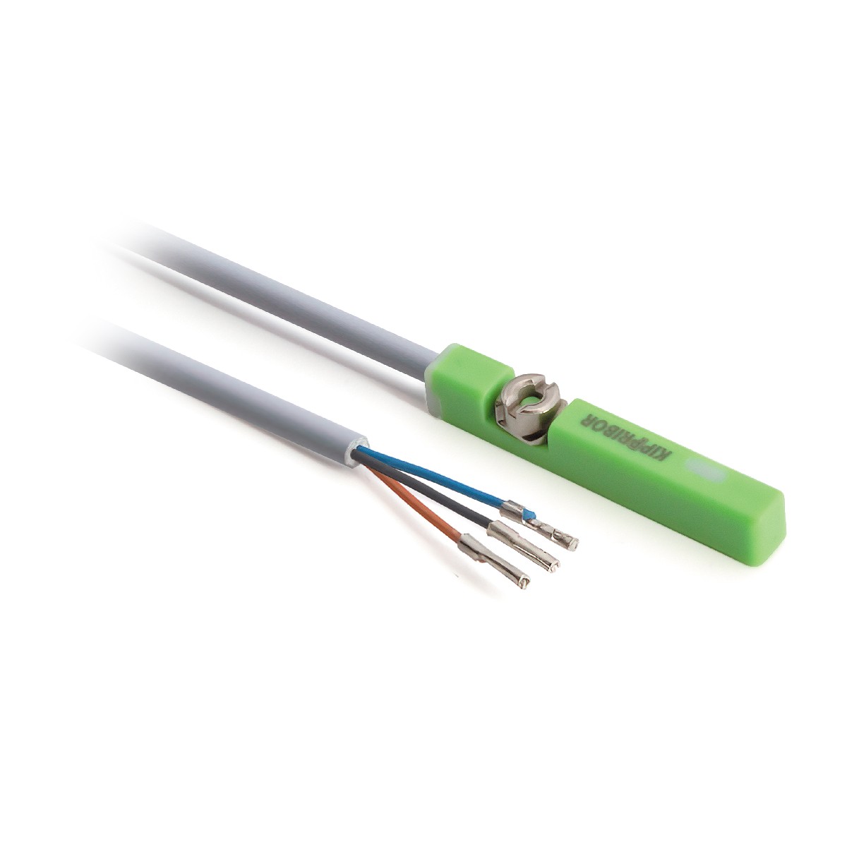 Датчик магн.,PNP/NPN,NO,Wire,10-30 VDC,100 mA max